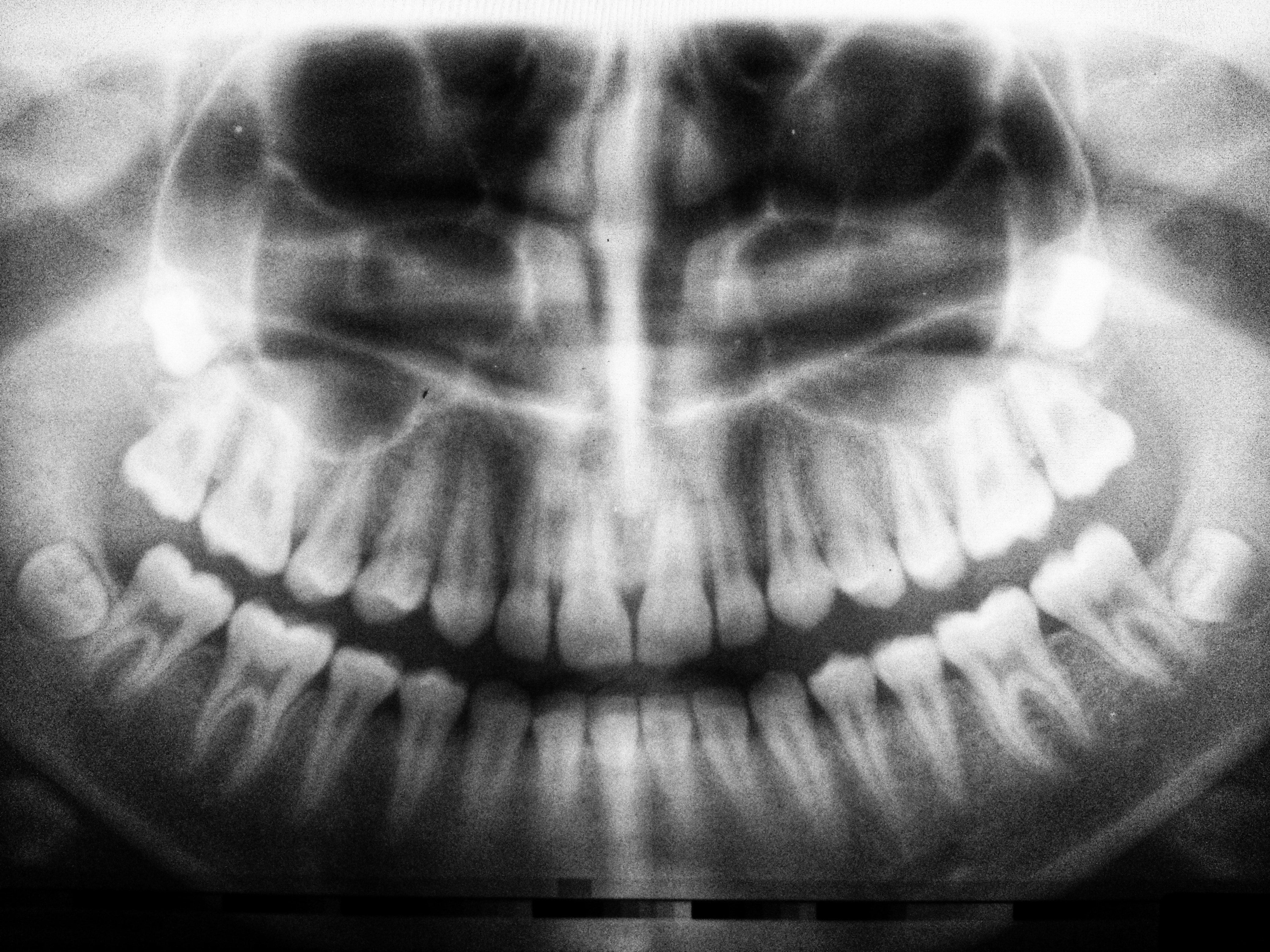 Odontolog�a restauradora